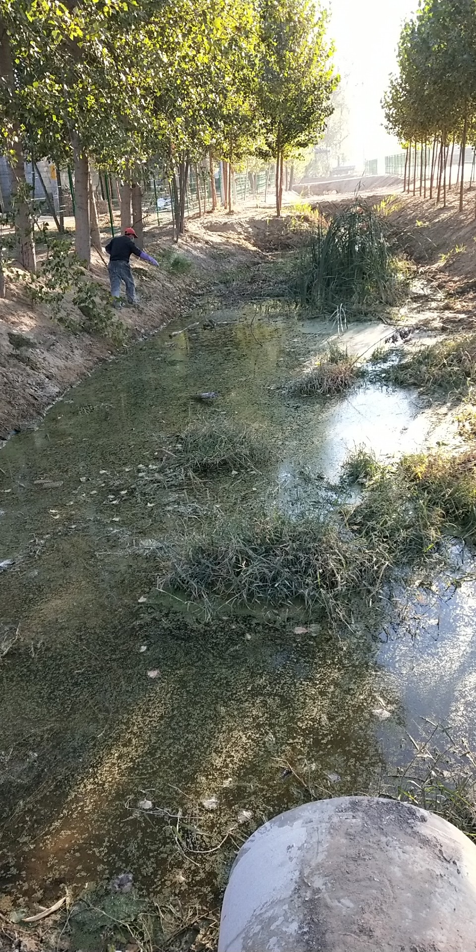 黑臭水体治理——山东聊城某河湖应急治理